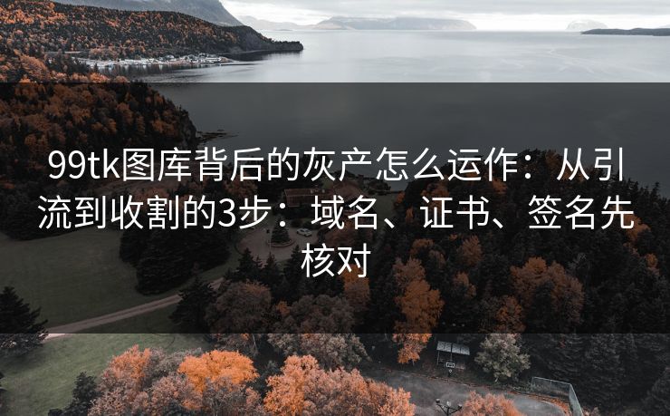 99tk图库背后的灰产怎么运作：从引流到收割的3步：域名、证书、签名先核对