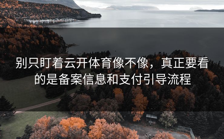 别只盯着云开体育像不像，真正要看的是备案信息和支付引导流程