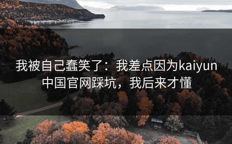 我被自己蠢笑了：我差点因为kaiyun中国官网踩坑，我后来才懂