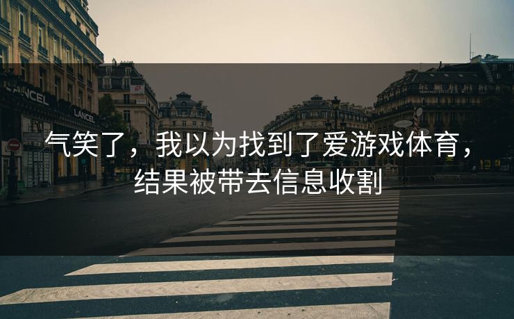 气笑了，我以为找到了爱游戏体育，结果被带去信息收割