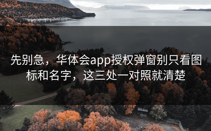 先别急，华体会app授权弹窗别只看图标和名字，这三处一对照就清楚
